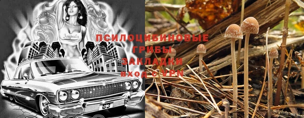 кристаллы Дмитриев