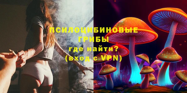 кристаллы Дмитриев