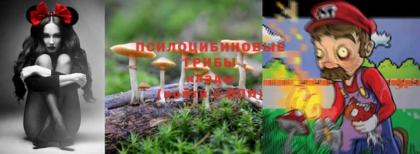 соль курить ск Дмитров