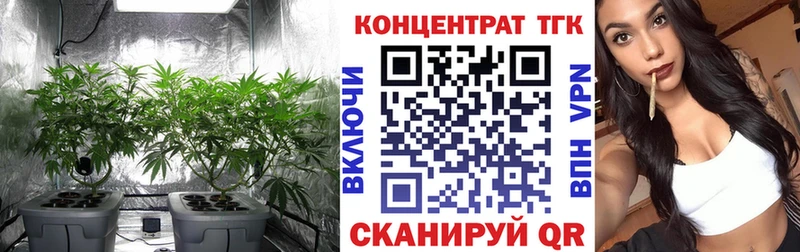 Купить закладки  Иваново  ТГК гашишное масло 