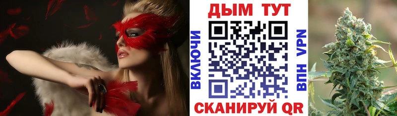 Бошки Шишки семена  Купить где  Иваново 
